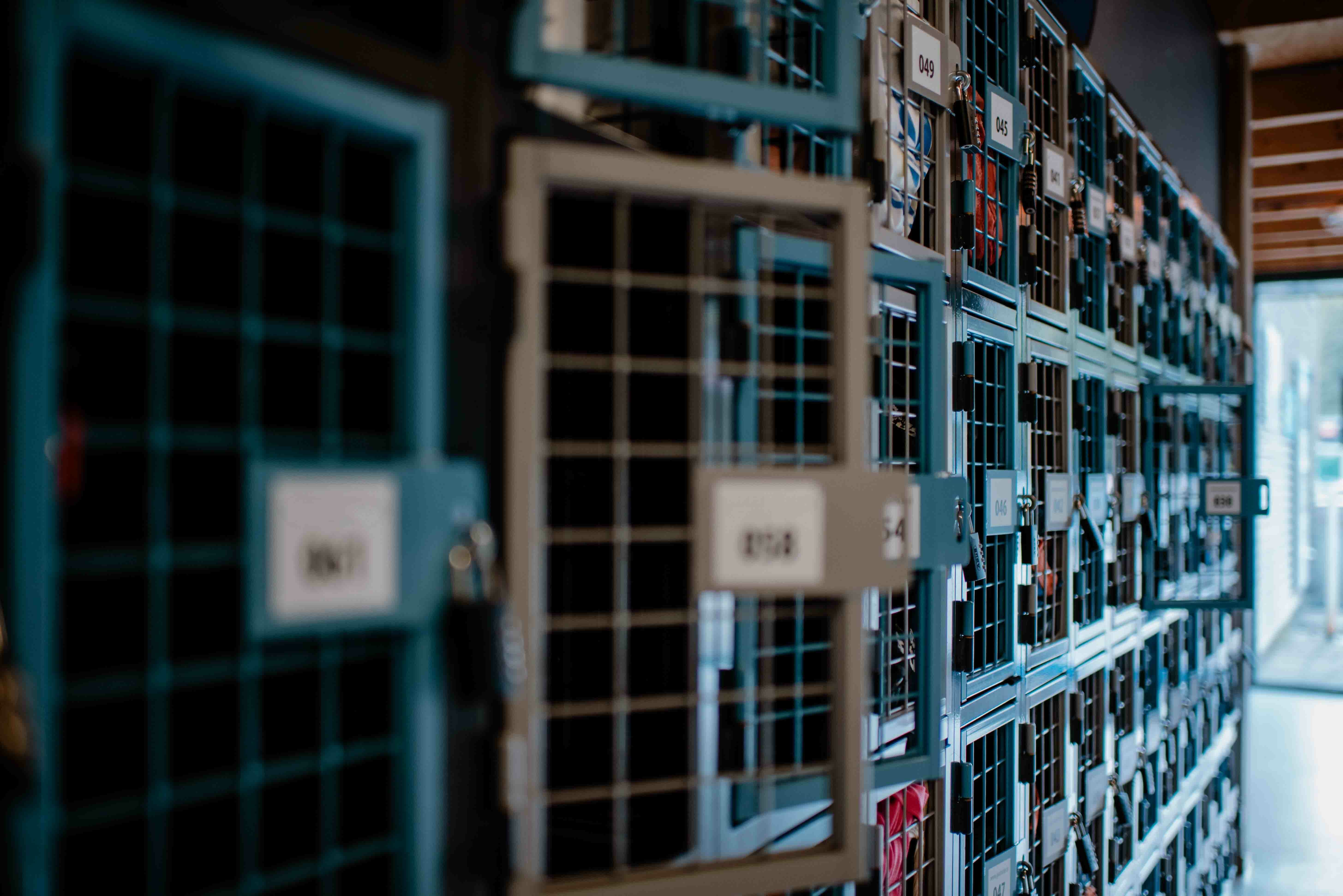 Gaaslockers hockey lockers sport