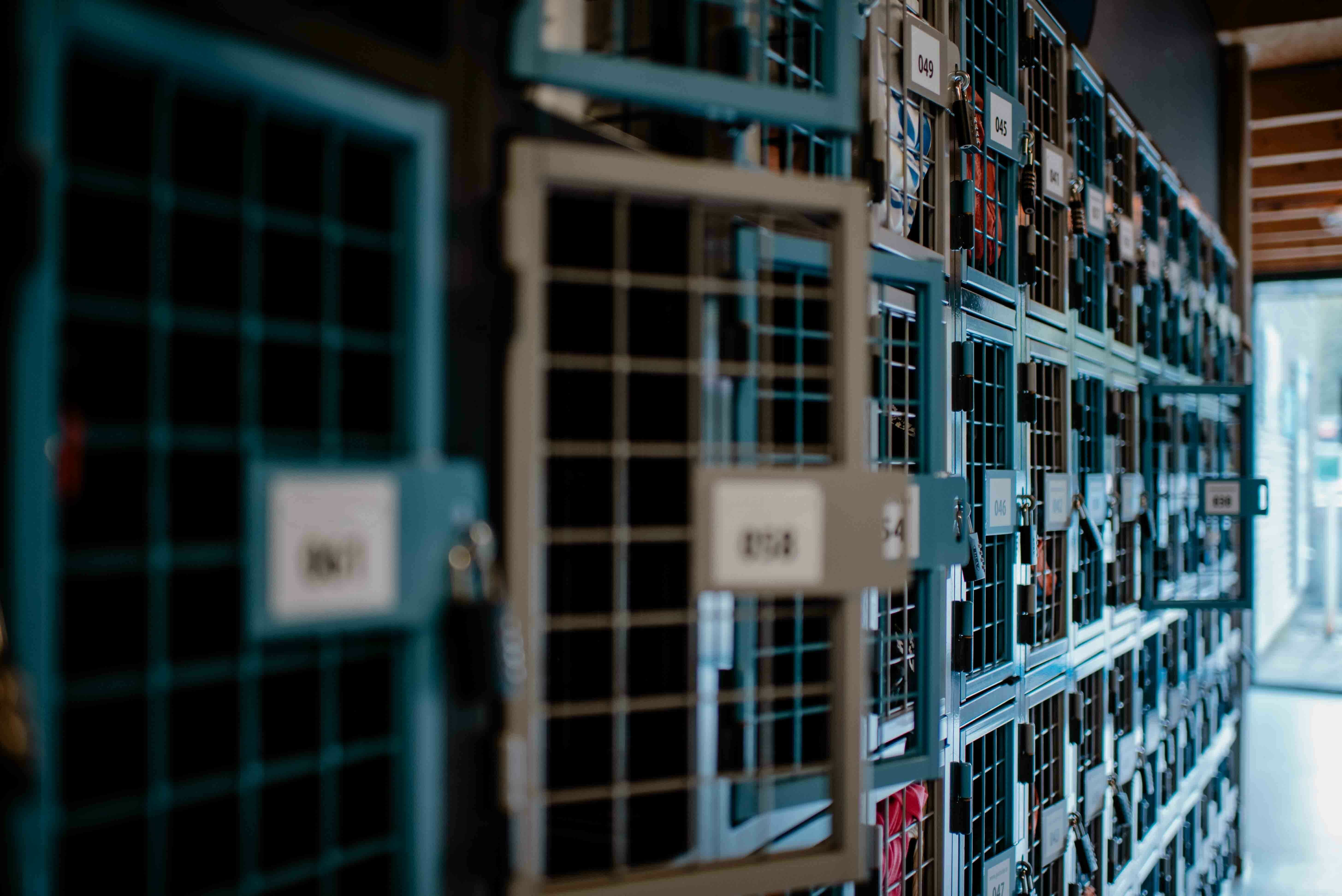 Hockeyclub TC Hurley 01