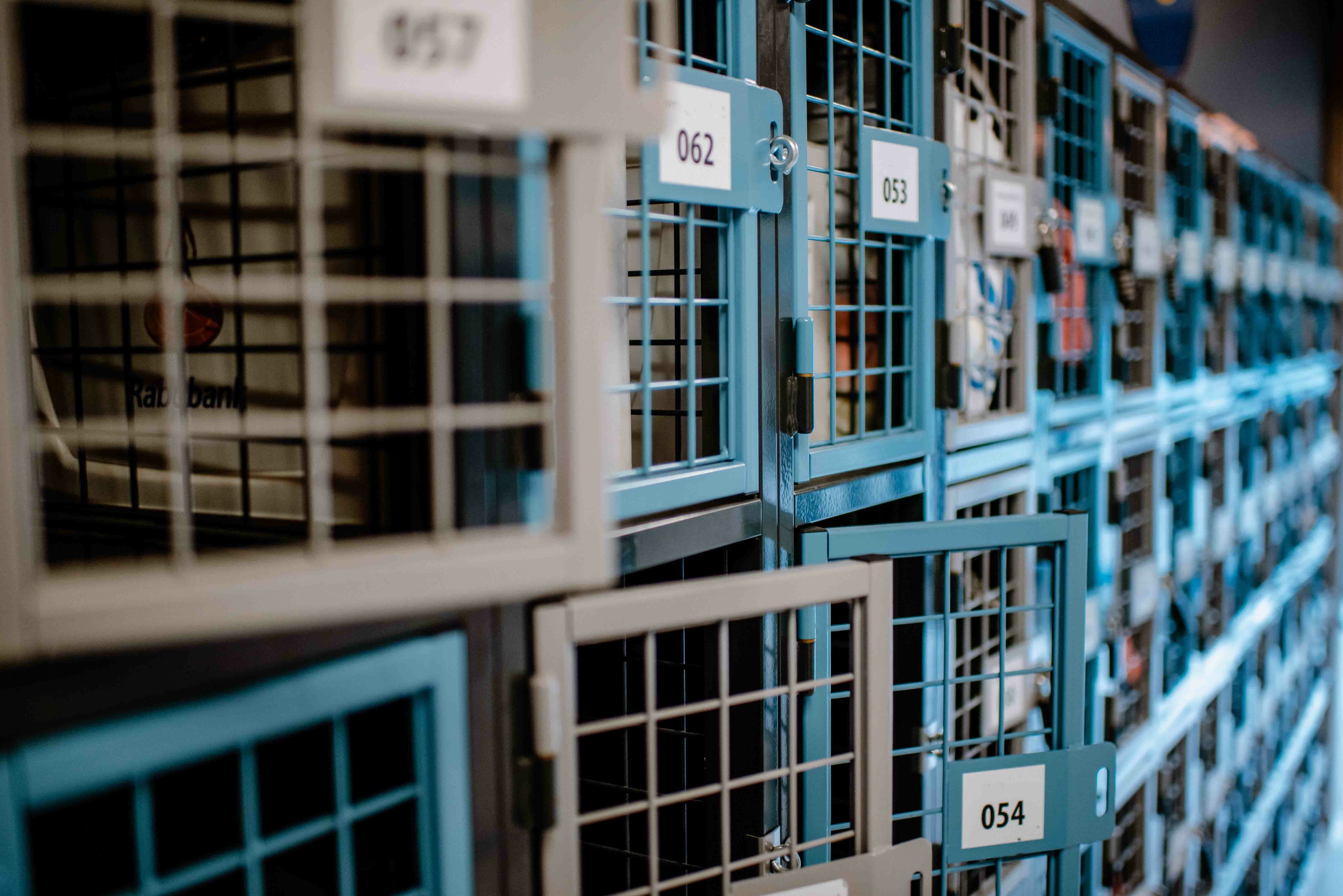 Niké Creatief RASTERR043 lowres