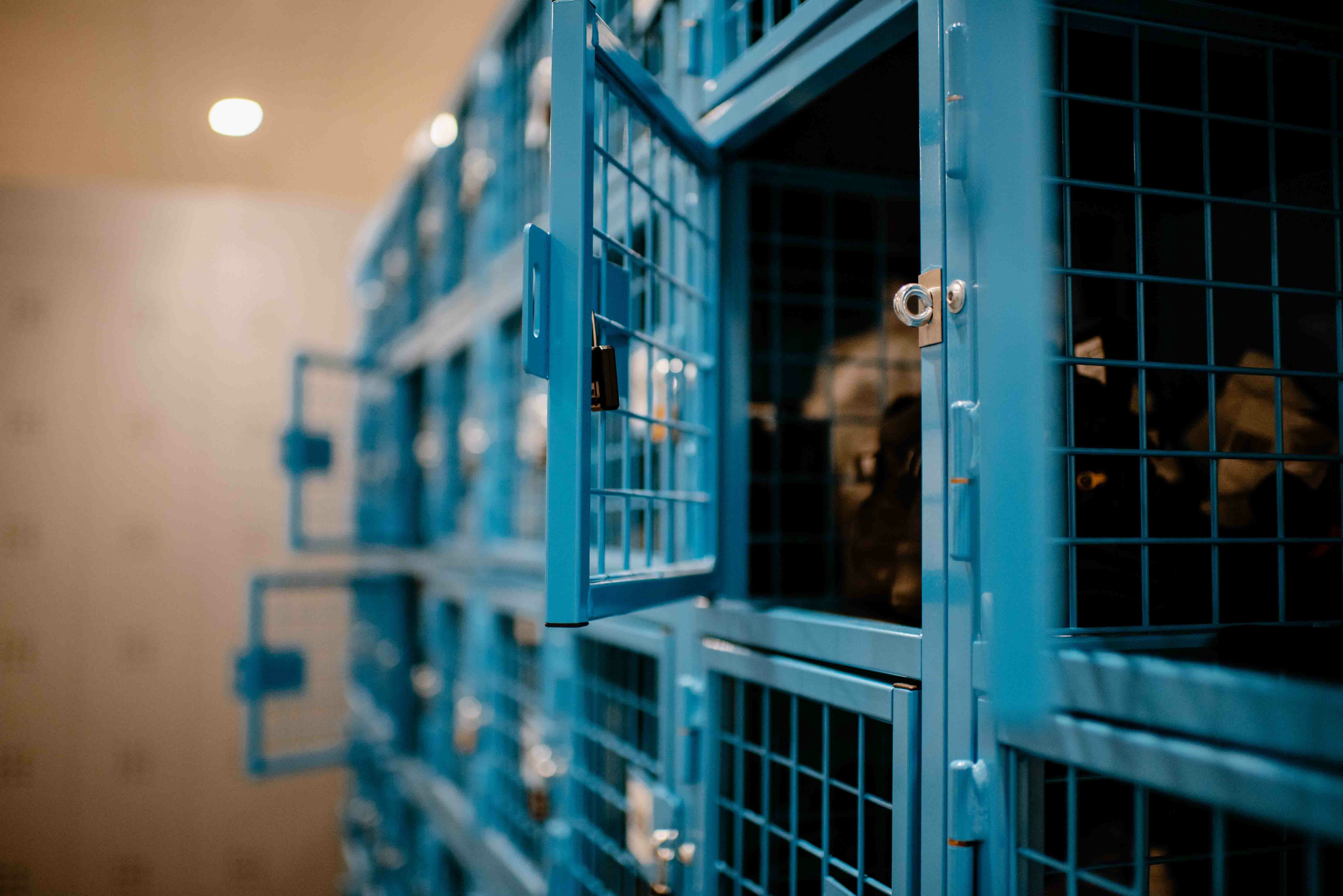 Niké Creatief RASTERR012 lowres