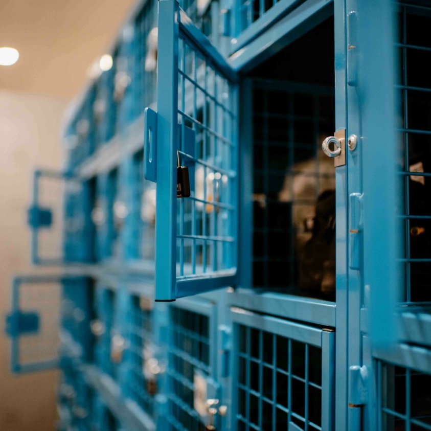 Niké Creatief RASTERR012 lowres