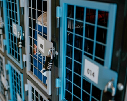 Niké Creatief RASTERR Samenstellen slot lowres