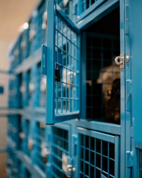 Niké Creatief RASTERR067 samenstellen deur low