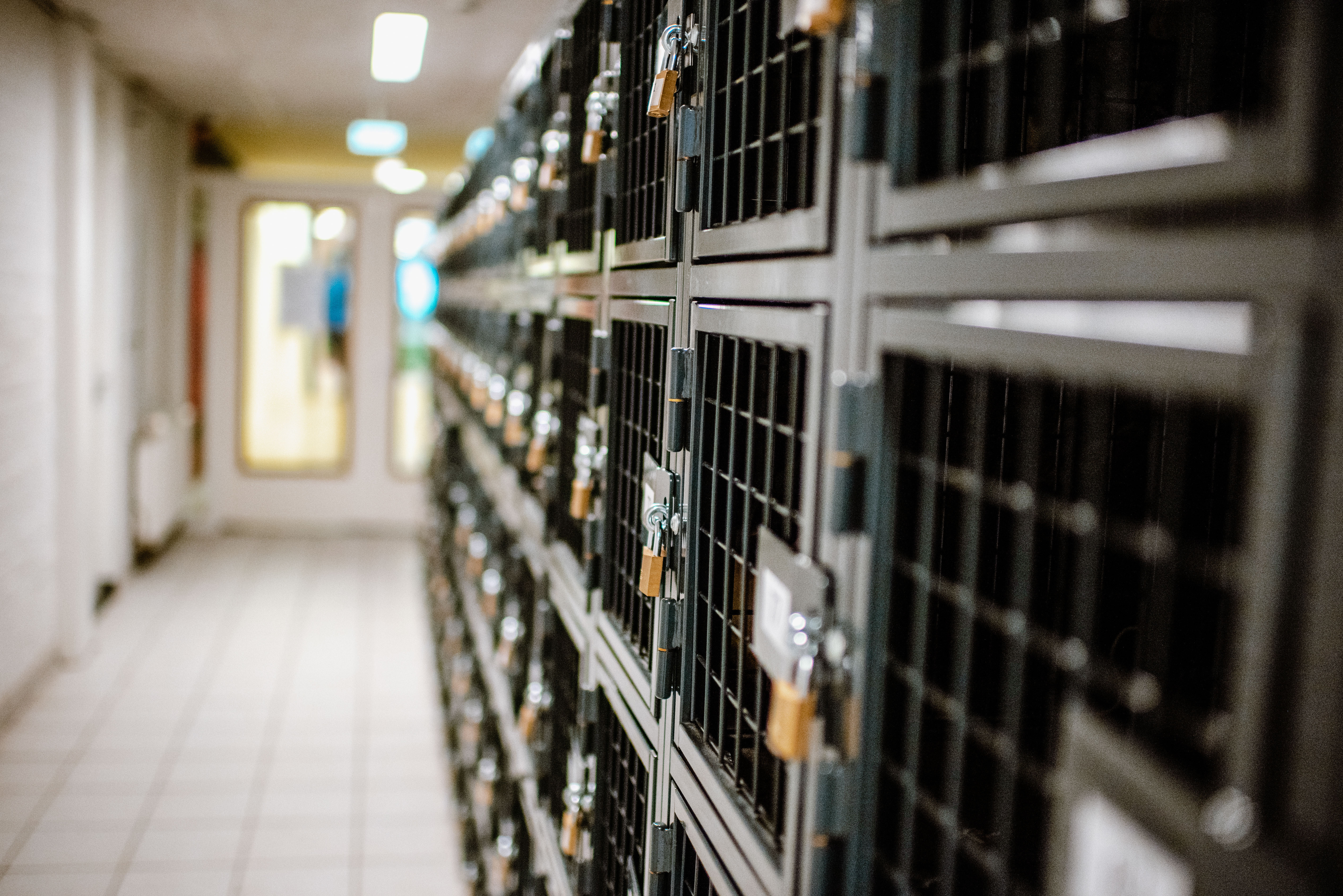 Gaaslockers onderwijs project opbergen studenten tassen