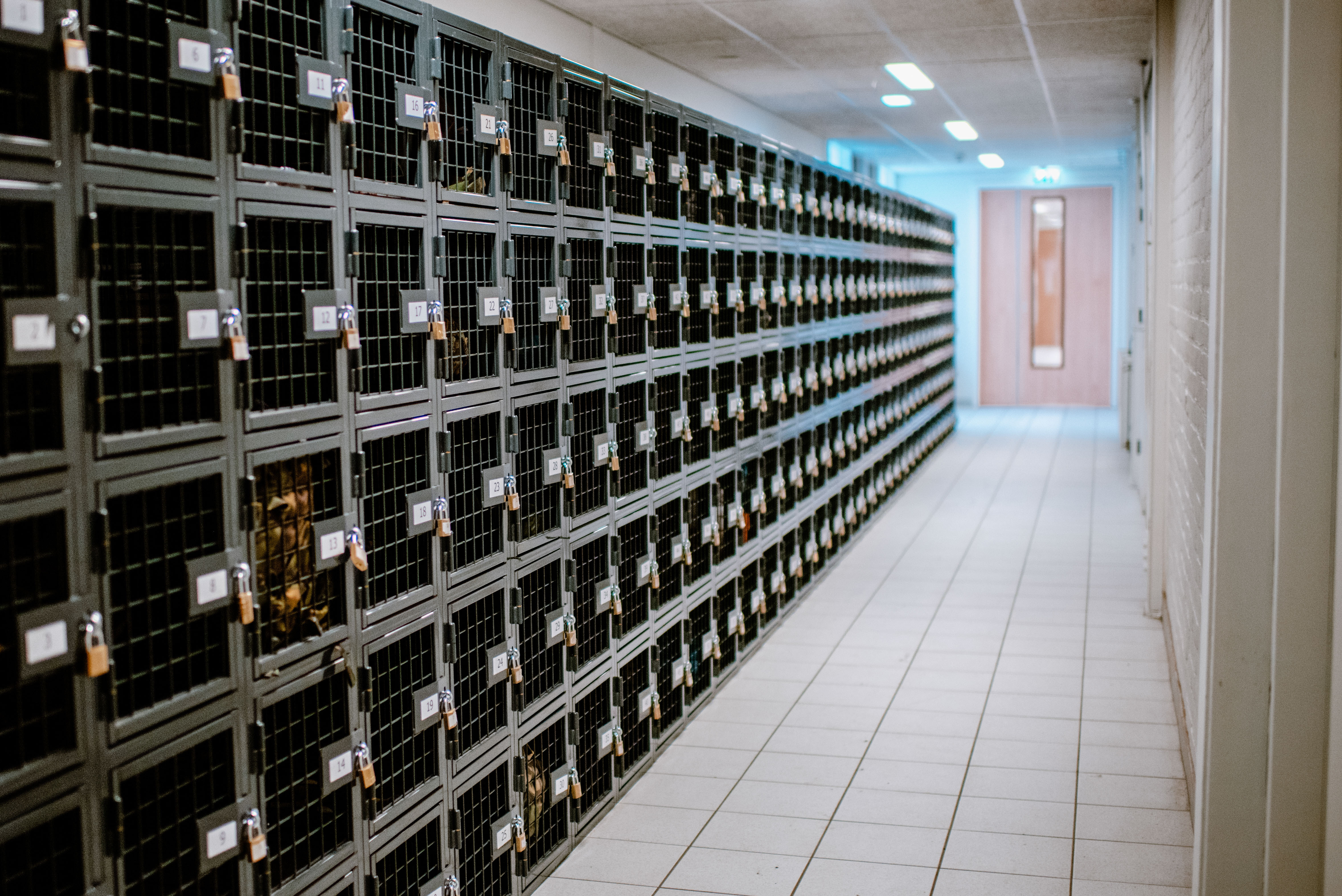 Gaaslockers op school Scalda Goes