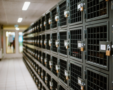 Scalda Goes RASTERR 1 Scalda Goes RASTERR 1