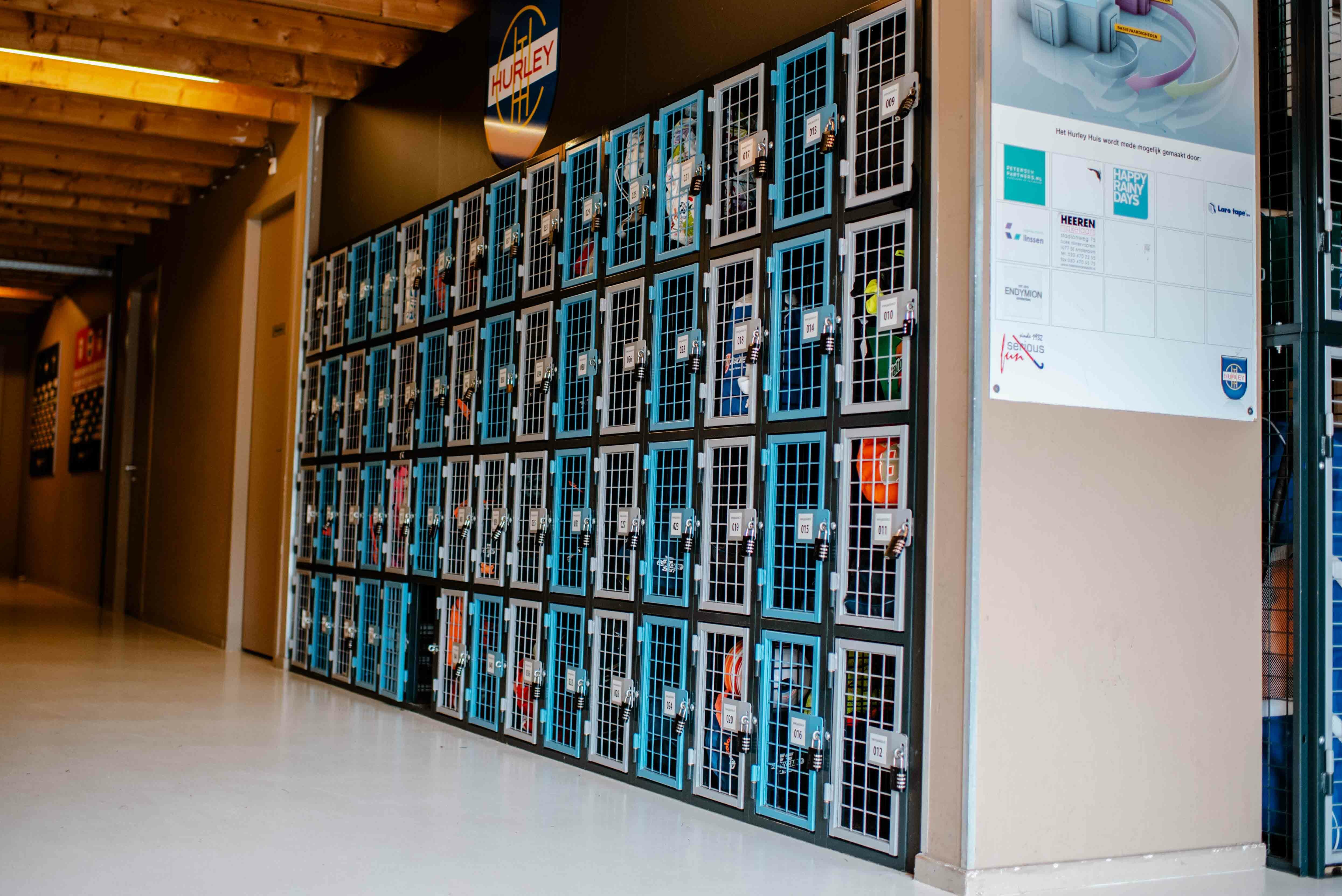 RASTERR sector sport