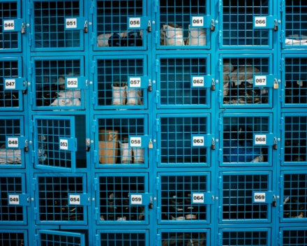 Niké Creatief RASTERR002 productie sector