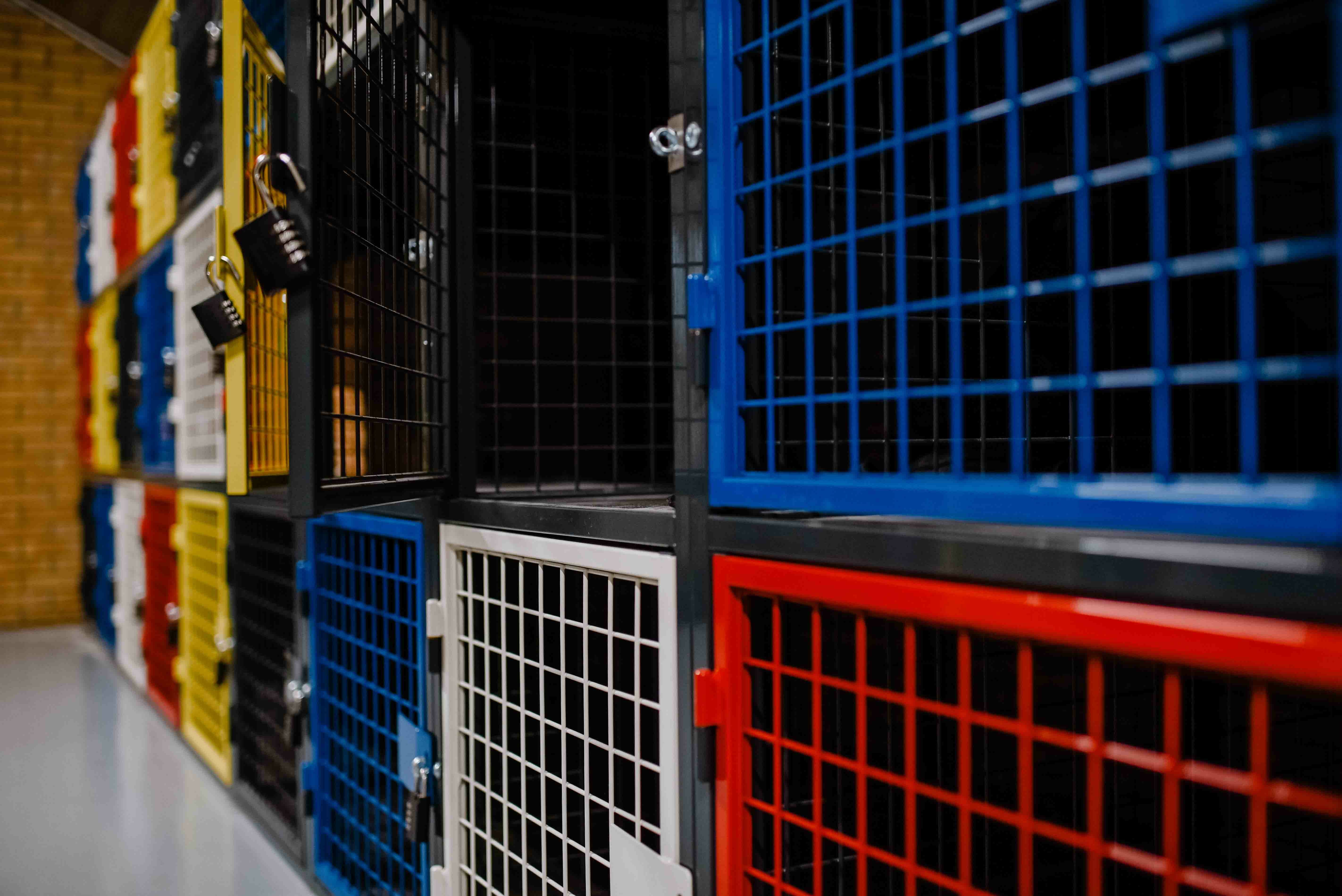 Niké Creatief RASTERR080lowres