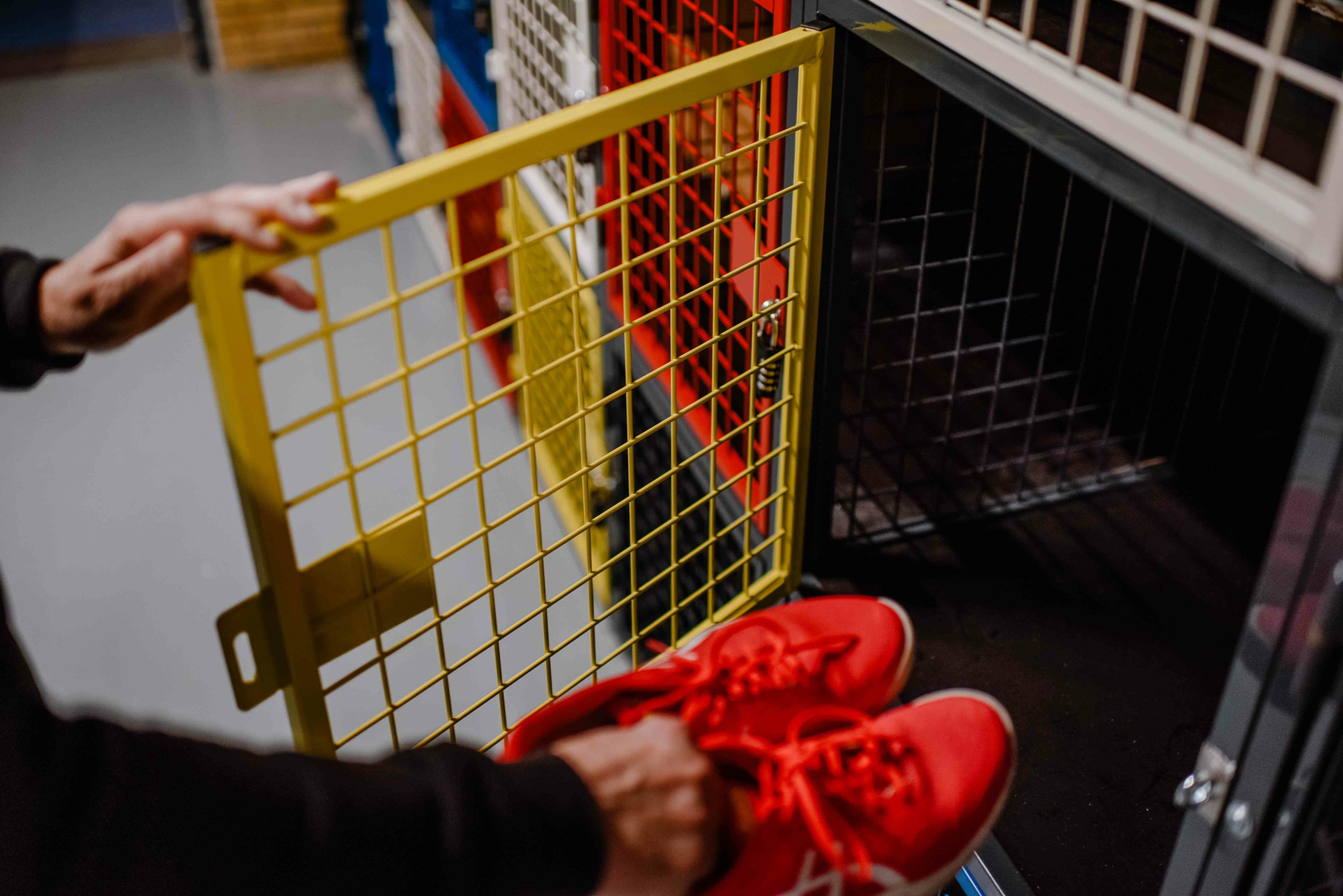 Niké Creatief RASTERR088 usp ventilerend lowres