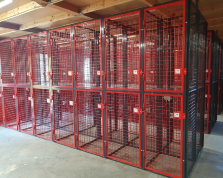 20240501 173232 20240501 173232